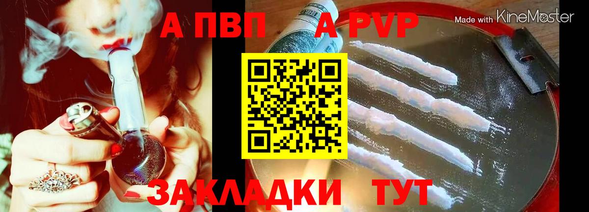 Alfa_PVP СК Кострома
