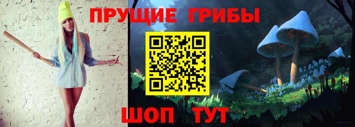 Галлюциногенные грибы Cubensis Кострома